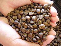 業務用ストレートコーヒー：キリマンジャロ（業務用）