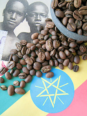 モカ：これが原点！コーヒー発祥の地より豊かな香りをお届けします。
